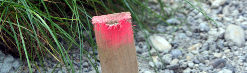 a wooden stick with pink paint