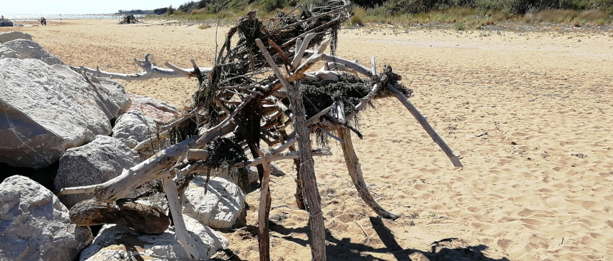 a beach with a strange contraption made of wooden sticks